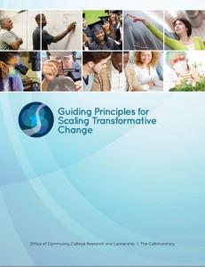 guiding-principles