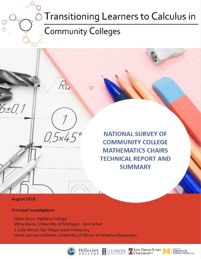 National Survey of Community College Mathematics Chairs Technical Report and Summary